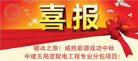 佳绩频传——918博天堂电气中标多个国家电网项目