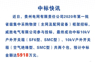 918博天堂电气中标贵州电网5918万元